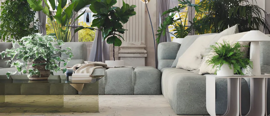 Organic Cleaning Services in Staten Island